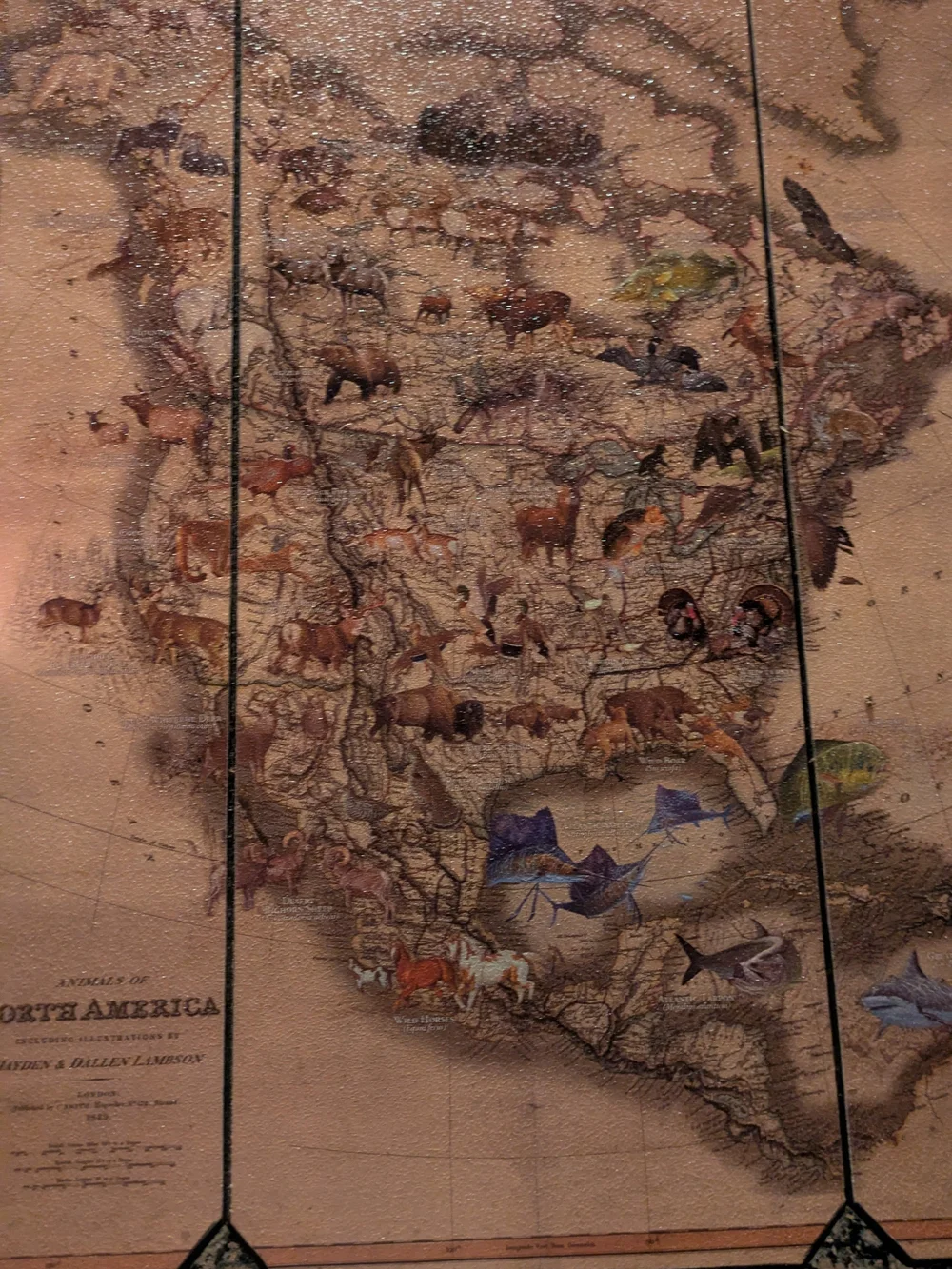 Hobby Lobby Vintage-Style North America Wildlife Map Wall Art - Brown & Tan